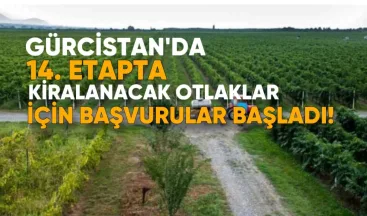 Gürcistan’da 14. Etapta Kiralanacak Otlaklar İçin Başvurular Başladı