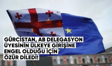 Gürcistan, AB delegasyon üyesinin ülkeye girişine engel olduğu için özür diledi