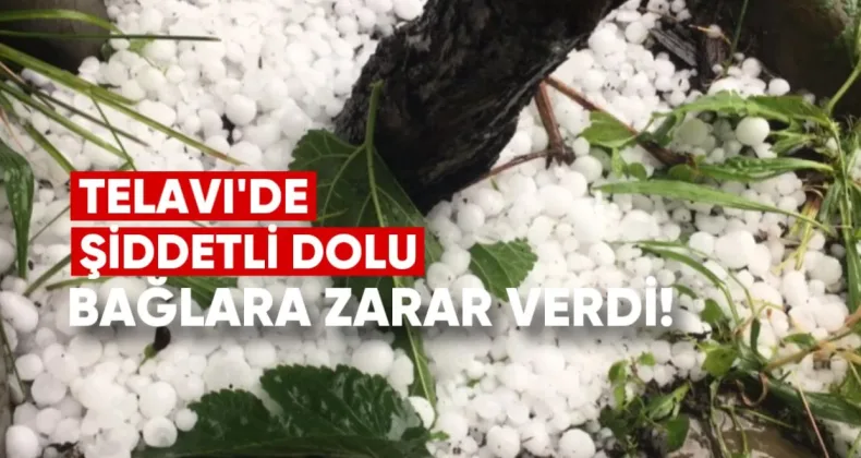 Telavi’de Şiddetli Dolu Yağışı Bağlara Zarar Verdi