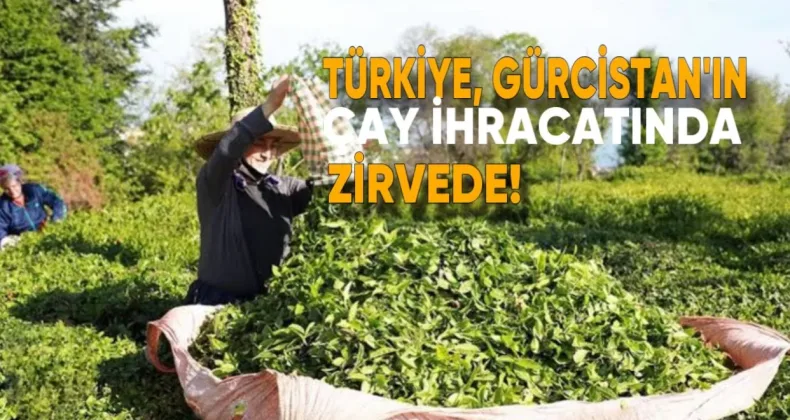 Türkiye, Gürcistan’ın çay ihracatında zirvede