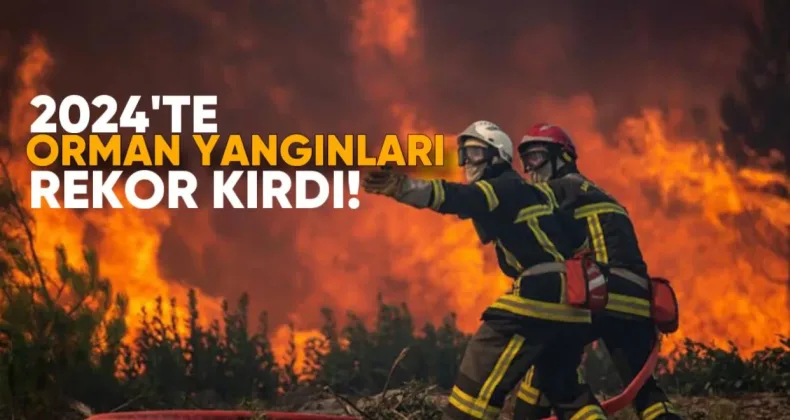 2024’te Dünyada Orman Yangınları Rekor Kırdı