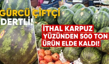 Gürcü Çiftçi Dertli: İthal Karpuz Yüzünden 500 Ton Ürün Elde Kaldı