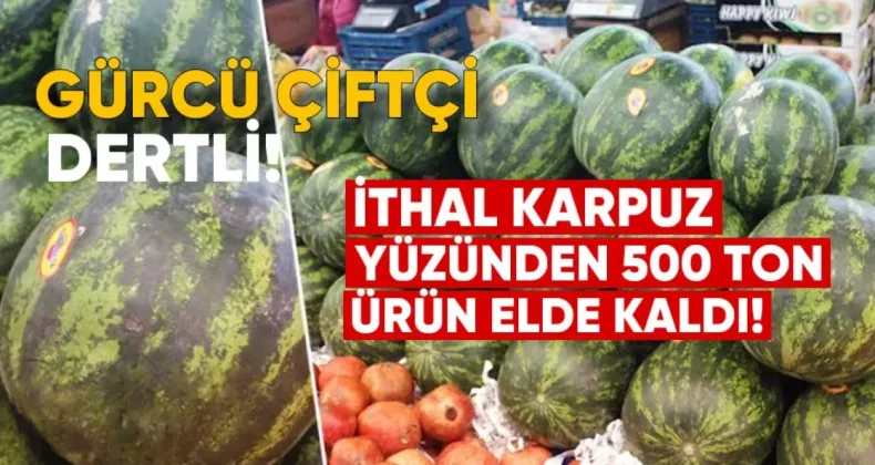 Gürcü Çiftçi Dertli: İthal Karpuz Yüzünden 500 Ton Ürün Elde Kaldı
