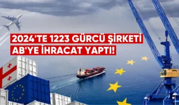 2024’te 1223 Gürcü şirketi AB’ye ihracat yaptı