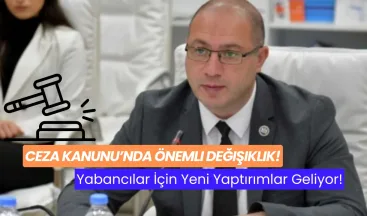 Ceza Kanunu’nda Önemli Değişiklik: Yabancılar İçin Yeni Yaptırımlar Geliyor!