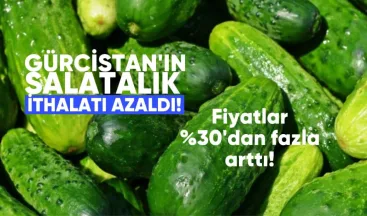 Gürcistan’ın salatalık ithalatı azaldı, fiyatlar yüzde 30’dan fazla arttı