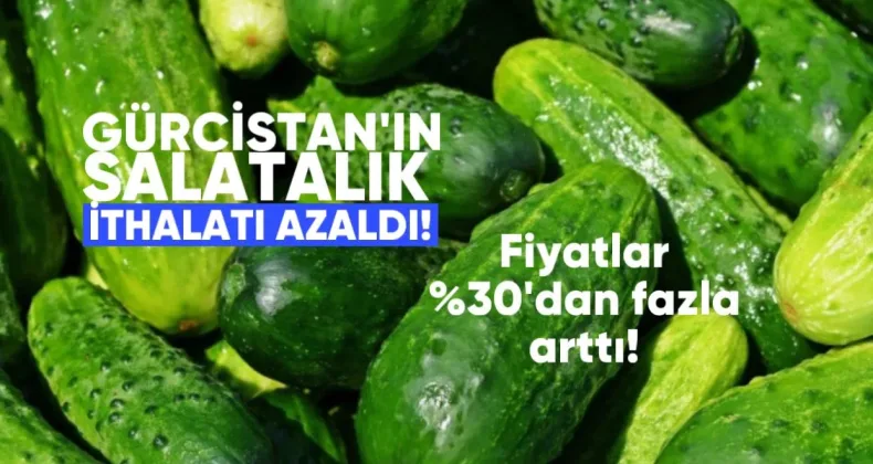 Gürcistan’ın salatalık ithalatı azaldı, fiyatlar yüzde 30’dan fazla arttı