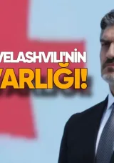 Mikheil Kavlelashvili’nin mal varlığı