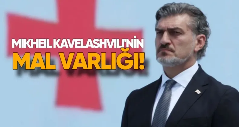 Mikheil Kavlelashvili’nin mal varlığı