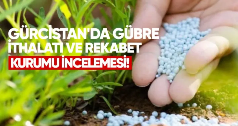 Gürcistan’da Gübre İthalatı ve Piyasaya Rekabet Kurumu İncelemesi