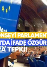 Avrupa Konseyi Parlamenter Meclisi (PACE) raportörlerinden Gürcistan’da ifade özgürlüğüne baskılara tepki