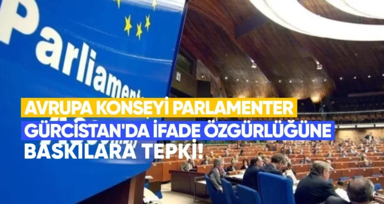 Avrupa Konseyi Parlamenter Meclisi (PACE) raportörlerinden Gürcistan’da ifade özgürlüğüne baskılara tepki