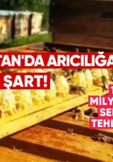Arıcılığa Destek Şart: 100 Milyonluk Sektör Tehlikede