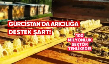 Arıcılığa Destek Şart: 100 Milyonluk Sektör Tehlikede