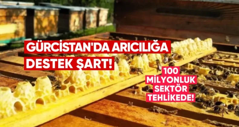 Arıcılığa Destek Şart: 100 Milyonluk Sektör Tehlikede