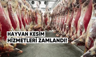 Gürcistan’da Kesimhane Hizmetleri Zamlandı: 2024’te Ne Kadar Et Üretildi?