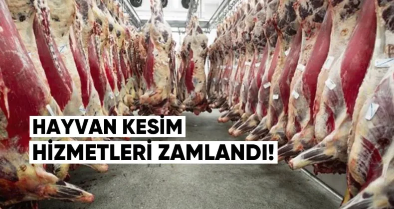 Gürcistan’da Kesimhane Hizmetleri Zamlandı: 2024’te Ne Kadar Et Üretildi?