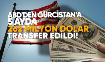 ABD’den Gürcistan’a 5 Ayda 263 Milyon Dolar Transfer Edildi