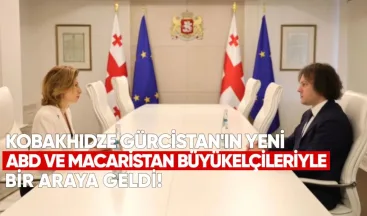 Başbakan Kobaşidze, Gürcistan’ın Yeni ABD ve Macaristan Büyükelçileriyle Bir Araya Geldi