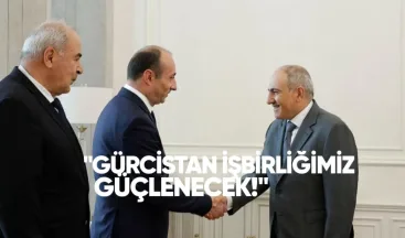 Paşinyan’dan Gürcistan İçişleri Bakanı’na: İş Birliğimiz Güçlenecek