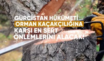 Gürcistan Hükümeti Orman Kaçakçılığına Karşı En Sert Önlemleri Alacak
