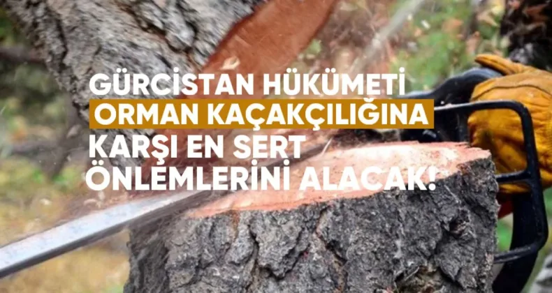 Gürcistan Hükümeti Orman Kaçakçılığına Karşı En Sert Önlemleri Alacak