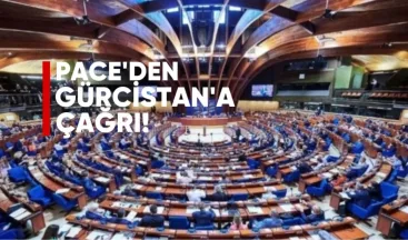PACE Raportörlerinden Gürcistan’a Çağrı: Tüm Siyasi Mağdurlar Derhal Serbest Bırakılsın