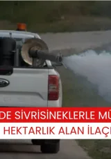 KAKHETİ’DE SİVRİSİNEKLERLE MÜCADELE: 16 BİN HEKTARLIK ALAN İLAÇLANACAK