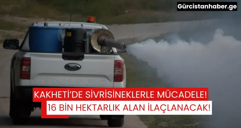 KAKHETİ’DE SİVRİSİNEKLERLE MÜCADELE: 16 BİN HEKTARLIK ALAN İLAÇLANACAK