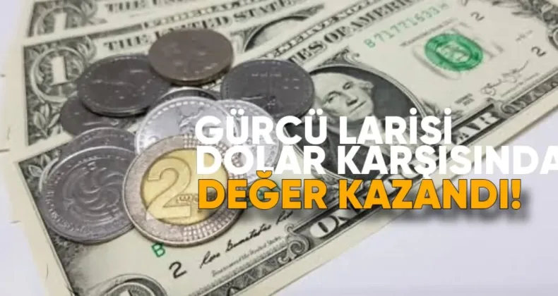 Lari Dolar Karşısında Güçlendi, Euro Karşısında Değer Kaybetti: Haftalık Döviz Değerlendirmesi