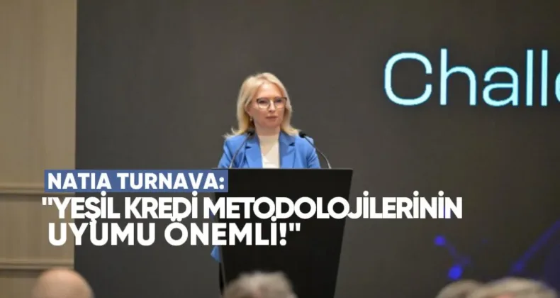 Natia Turnava: Yeşil Kredi Metodolojilerinin Uyumu Önemli