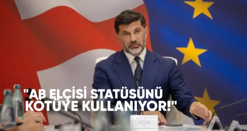 Kaladze: AB Elçisi Statüsünü Kötüye Kullanıyor