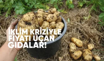 İklim Kriziyle Fiyatları Uçan Gıdalar: Patates, Zeytinyağı ve Kahve Öne Çıkıyo