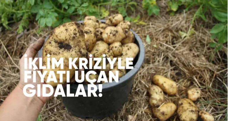 İklim Kriziyle Fiyatları Uçan Gıdalar: Patates, Zeytinyağı ve Kahve Öne Çıkıyo