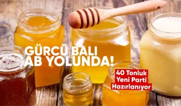 Gürcü Balı AB Yolunda: 40 Tonluk Yeni Parti Hazırlanıyor