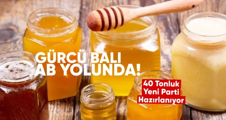 Gürcü Balı AB Yolunda: 40 Tonluk Yeni Parti Hazırlanıyor