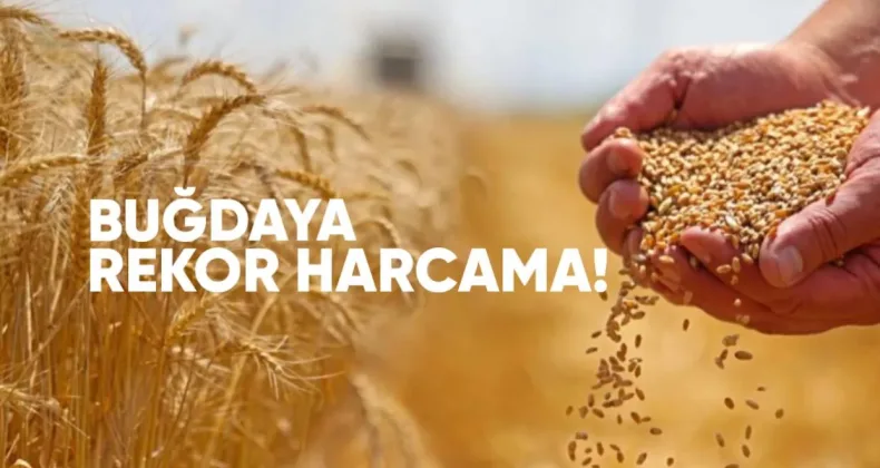 Buğdaya Rekor Harcama: Kazakistan İlk Kez Listede