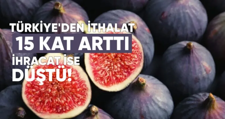 Türkiye’den Gelen İncir İthalatı 15 Kat Arttı, İhracat ise Düştü