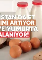 Gürcistan’da Et Üretimi Artıyor, Süt ve Yumurta Dalgalanıyor
