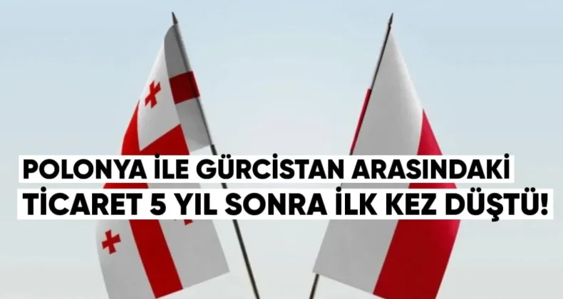 Polonya ile Gürcistan Arasındaki Ticaret 5 Yıl Sonra İlk Kez Düştü