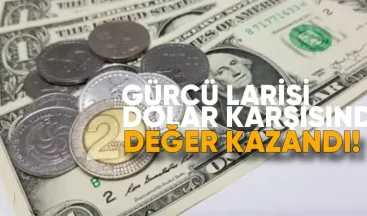 Lari Dolar ve Euro Karşısında Değer Kazandı