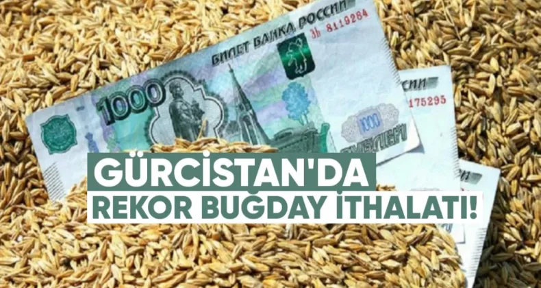 Gürcistan’da Rekor Buğday İthalatı