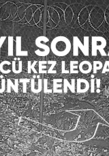 20 Yıl Sonra Üçüncü Kez: Gürcistan’da Leopar Görüntülendi