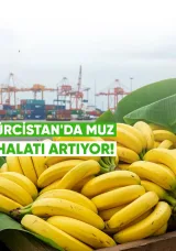 Gürcistan’da muz ithalatı artıyor, Ekvador başlıca tedarikçi