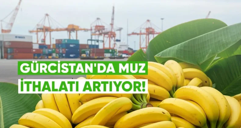 Gürcistan’da muz ithalatı artıyor, Ekvador başlıca tedarikçi