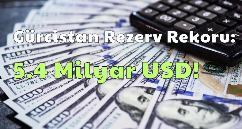 Gürcistan Rezervleri Rekor Kırdı: 5.4 Milyar Doları Aştı