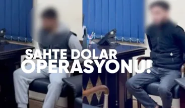 Kvemo Kartli’de Sahte Dolar Operasyonu: İki Kişi Tutuklandı