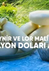 İthal Peynir ve Lor Maliyeti 29,3 Milyon Doları Aştı