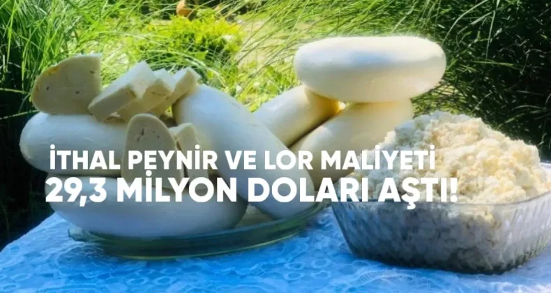 İthal Peynir ve Lor Maliyeti 29,3 Milyon Doları Aştı