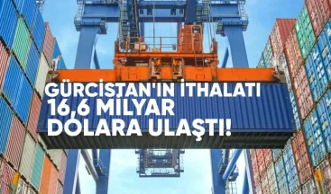 Gürcistan’ın İthalatı 16,6 Milyar Dolara Ulaştı